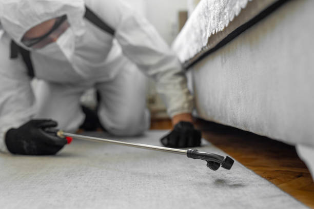 Professional Termite Control technician working in Waynesboro, GA