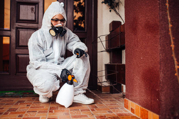 Reliable Termite Control contractor in Waynesboro, GA by Nex Pest Control