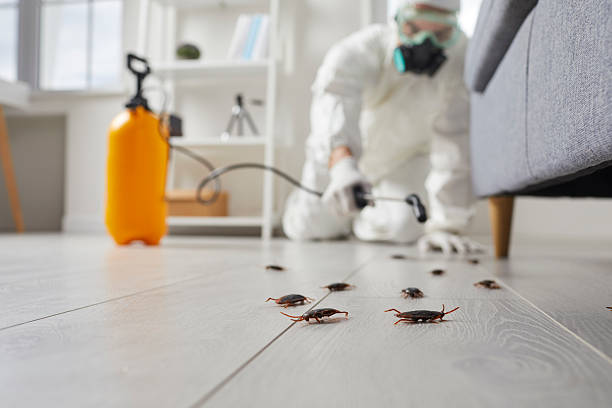 Trusted Rodent Control service in Waynesboro, GA - Nex Pest Control
